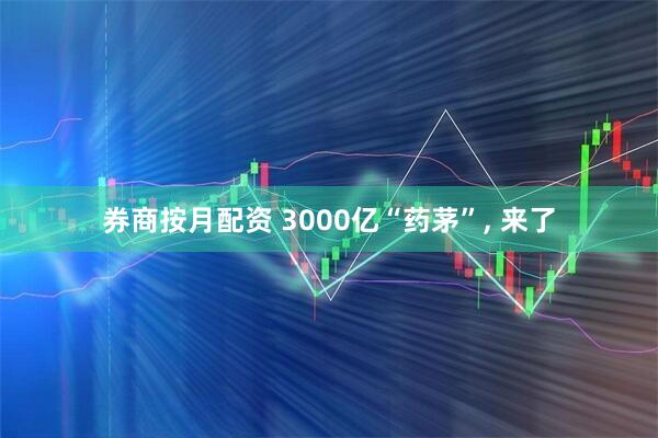 券商按月配资 3000亿“药茅”, 来了