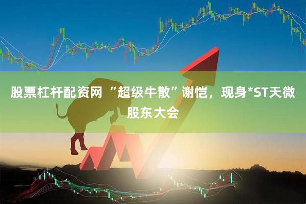 股票杠杆配资网 “超级牛散”谢恺，现身*ST天微股东大会