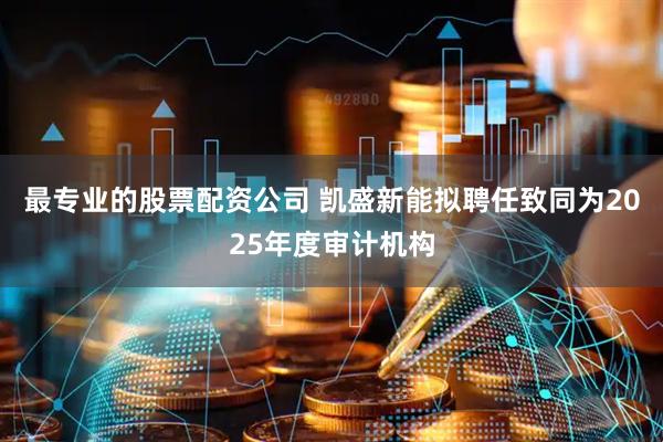 最专业的股票配资公司 凯盛新能拟聘任致同为2025年度审计机构