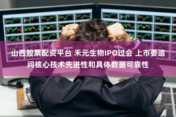 山西股票配资平台 禾元生物IPO过会 上市委追问核心技术先进性和具体数据可靠性